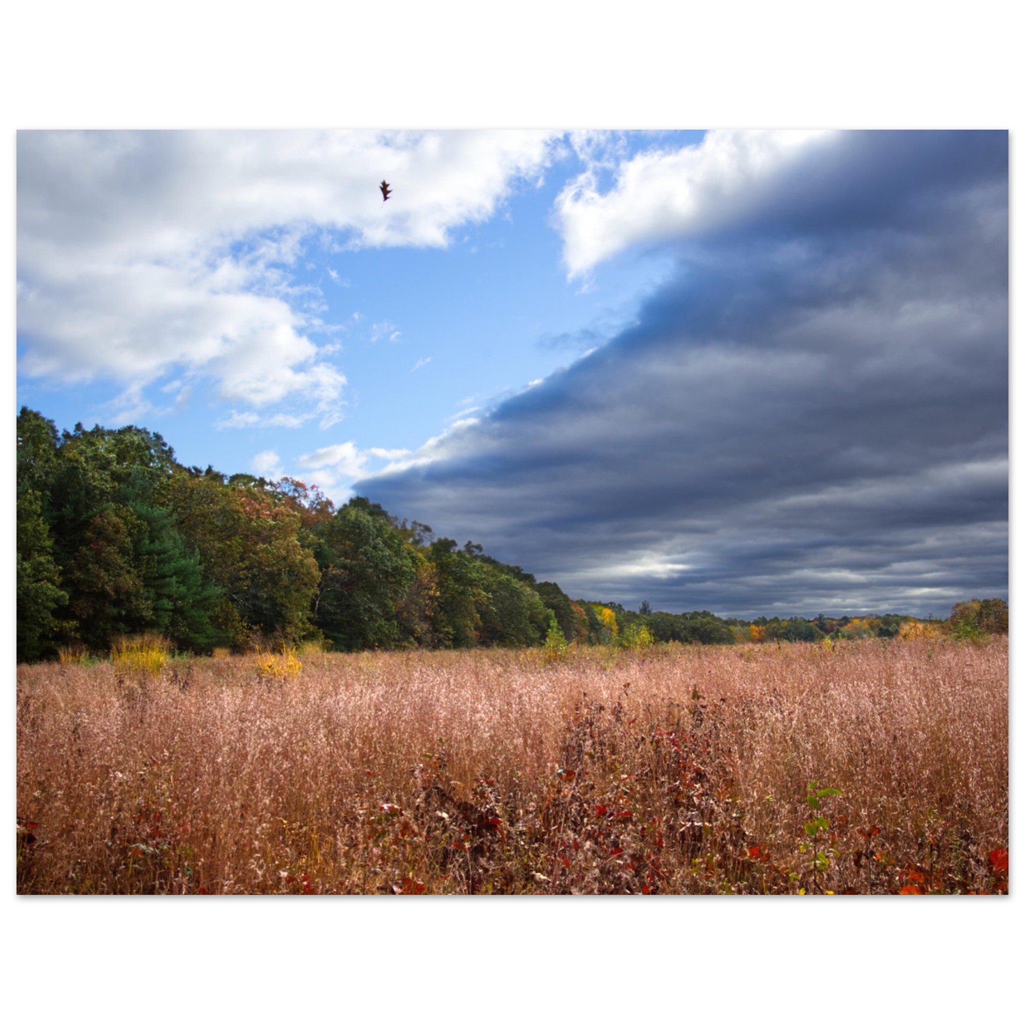 f4b87718-52f7-4262-863f-94d0945052aa