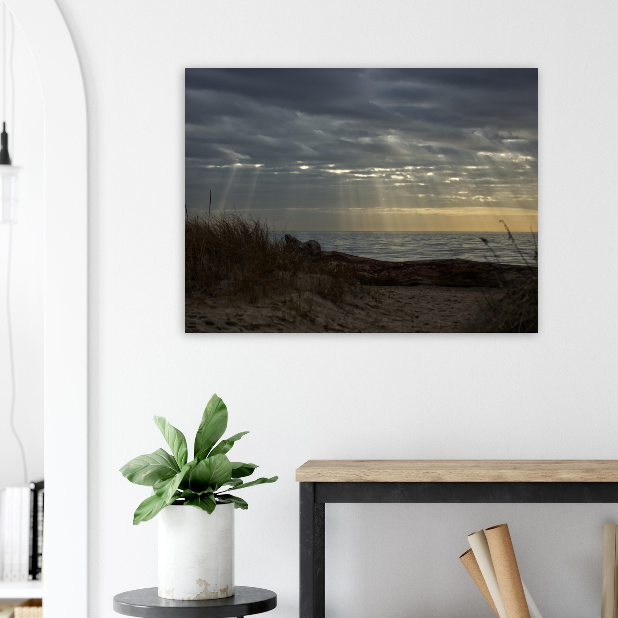 a6fe1c5d-f6b9-4c0b-898c-b97d93e51d3f