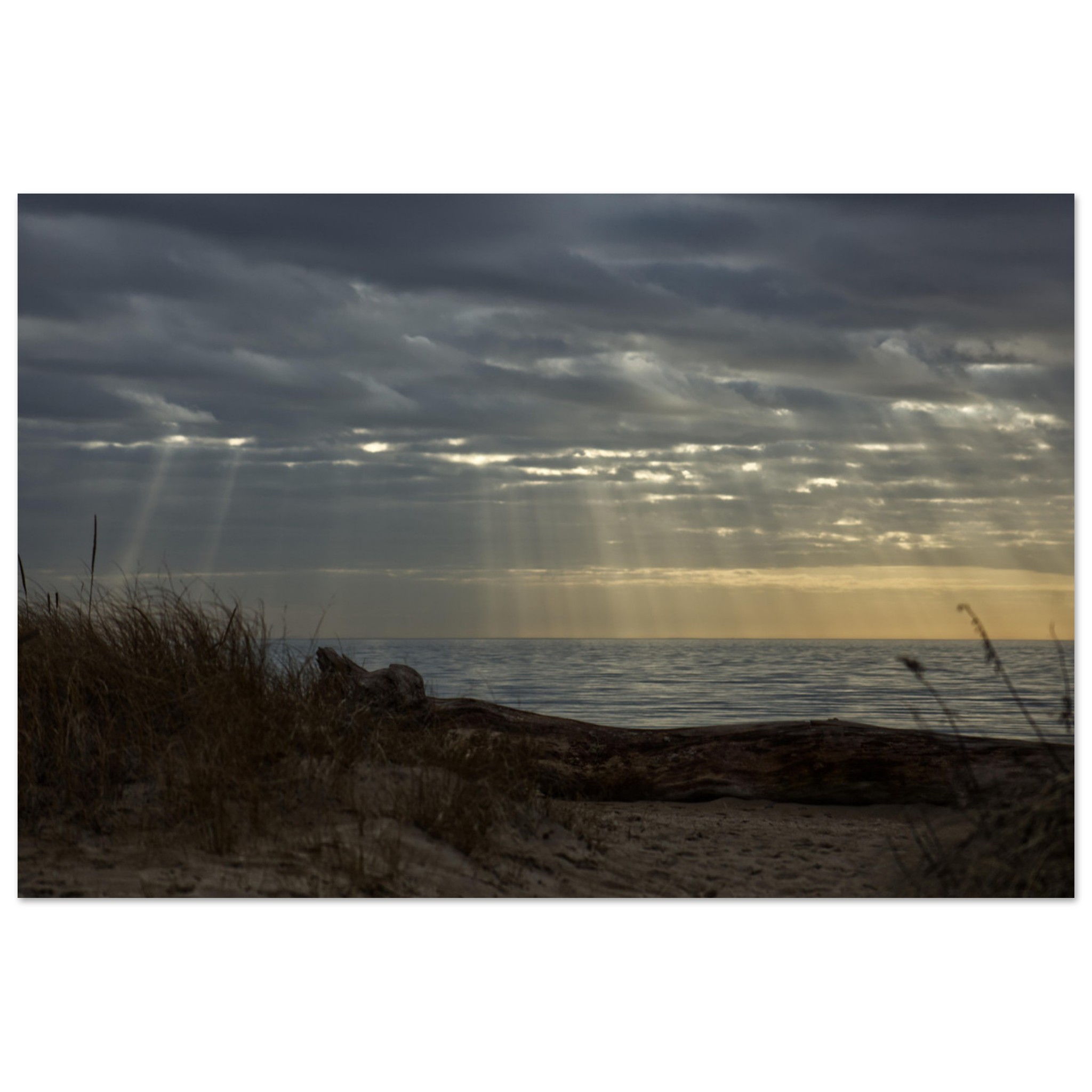 30cedefb-1a7e-42f2-9a78-b8b75ff9c0b7