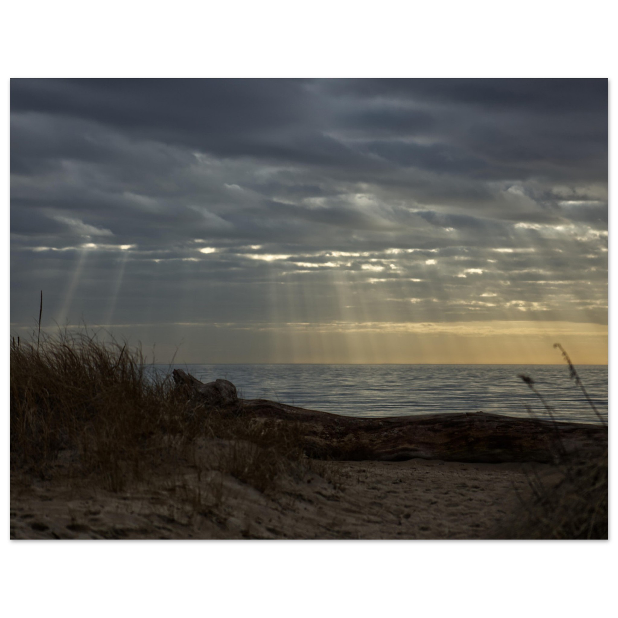 d57a732d-7b79-43d2-a6e3-6c2446d293f8