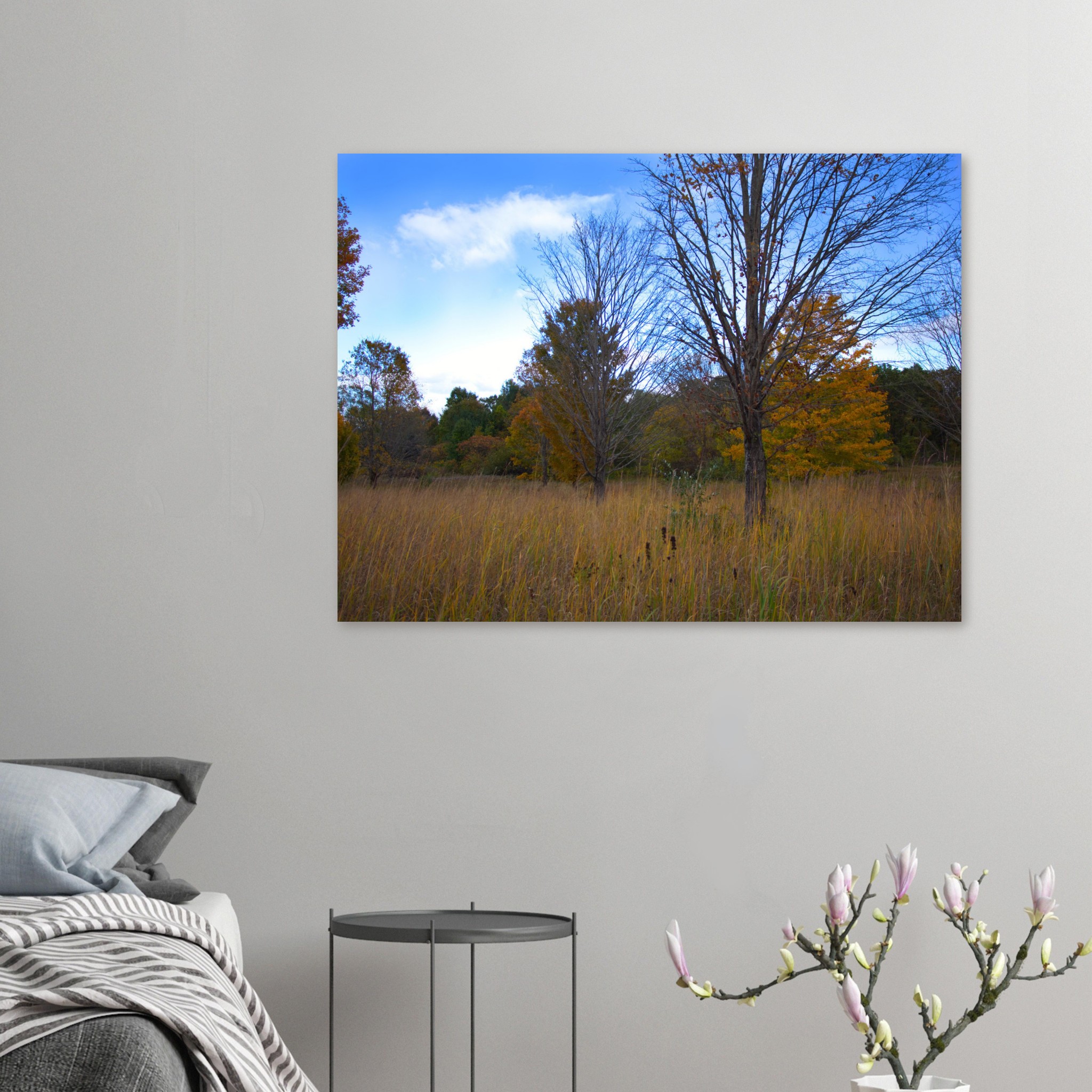 a58bd9e2-d46e-4d88-b490-b55db71a5762