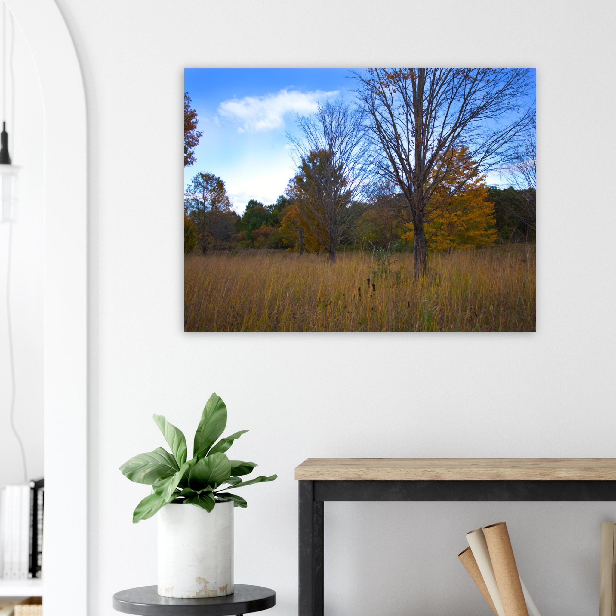 3d326c5f-39f6-4f18-9e5a-ebc1502d8799