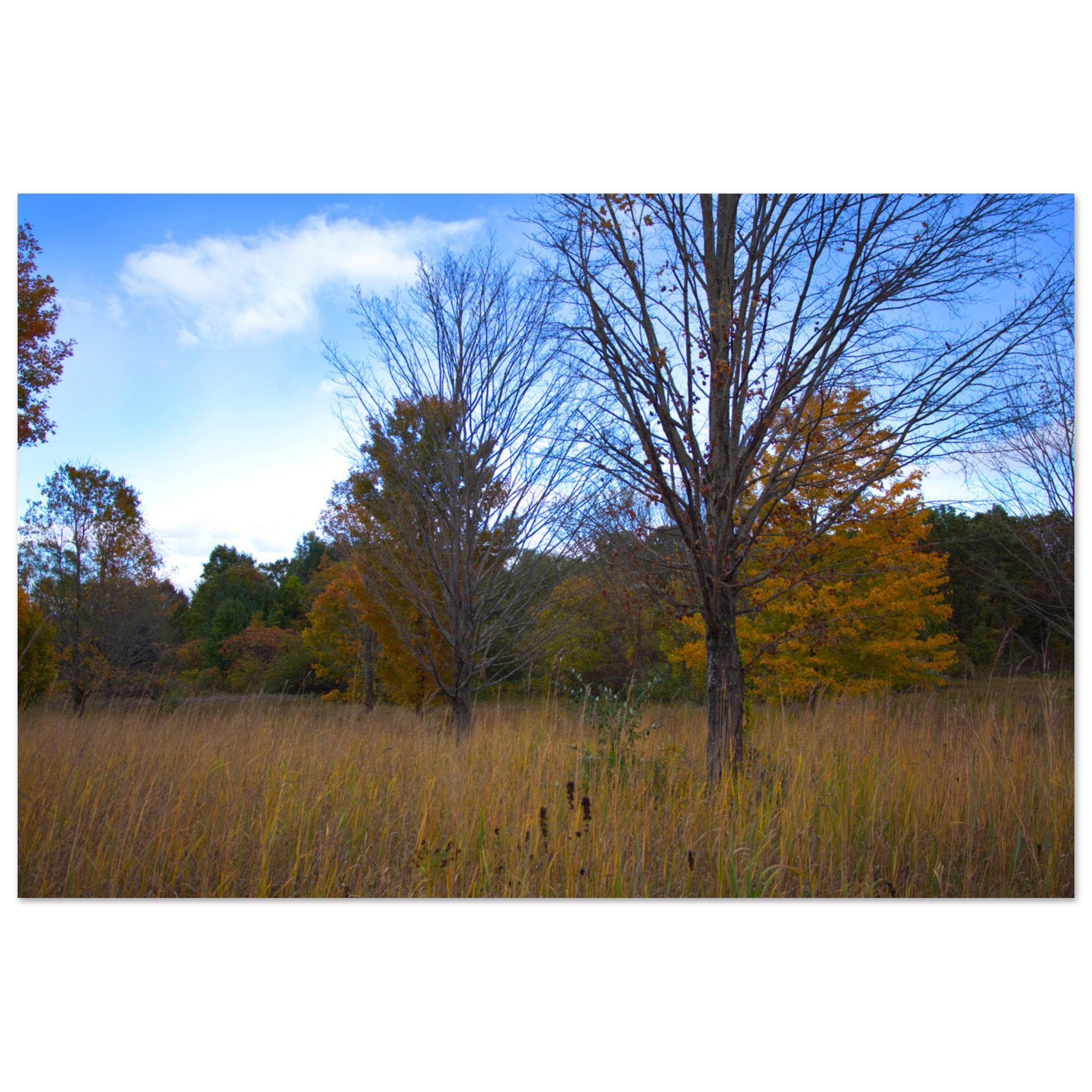 97fc7c5a-edb0-41e4-b9c3-f6a55d0201b1