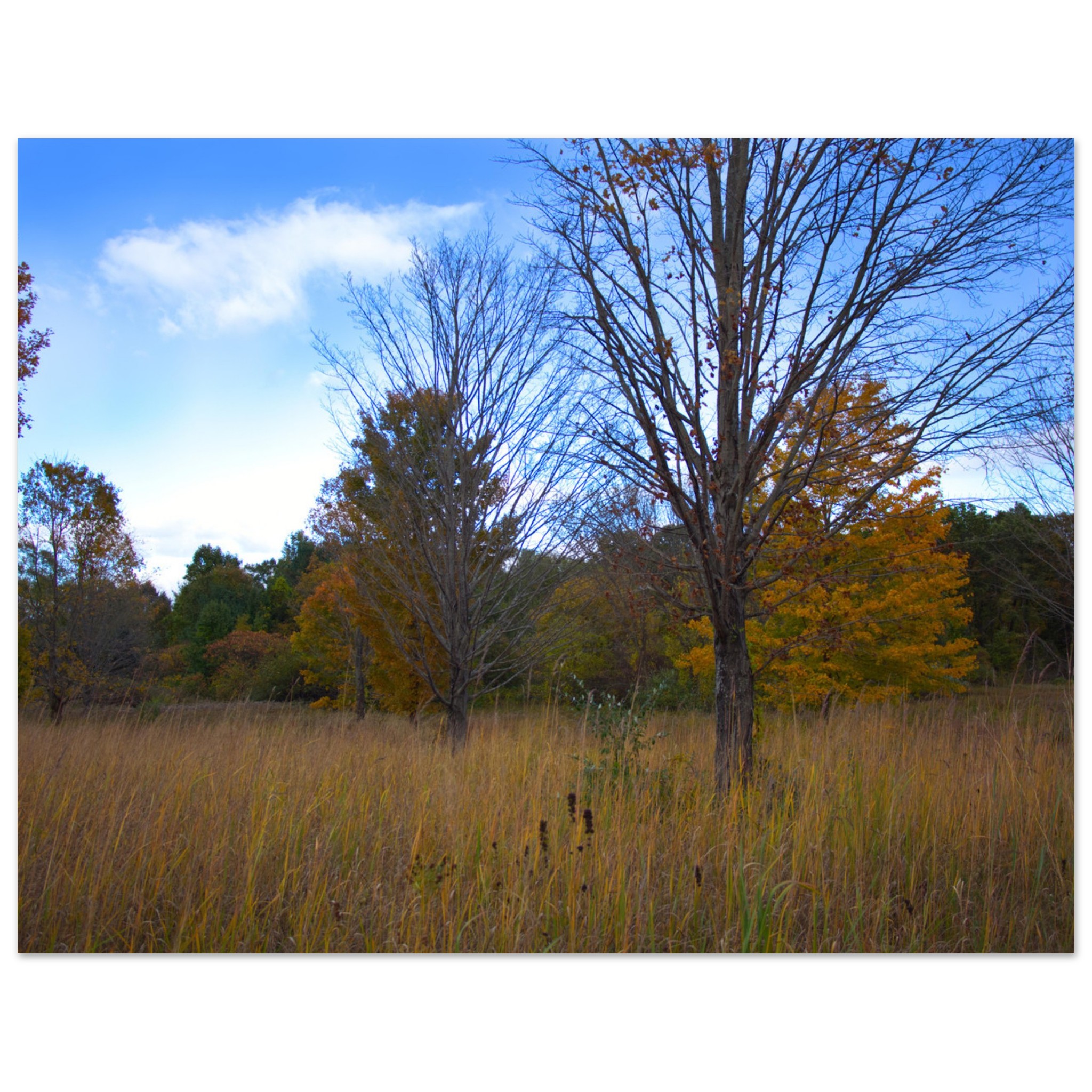 fa8cb30b-0c9c-49c5-aca8-5a8cb3477c67