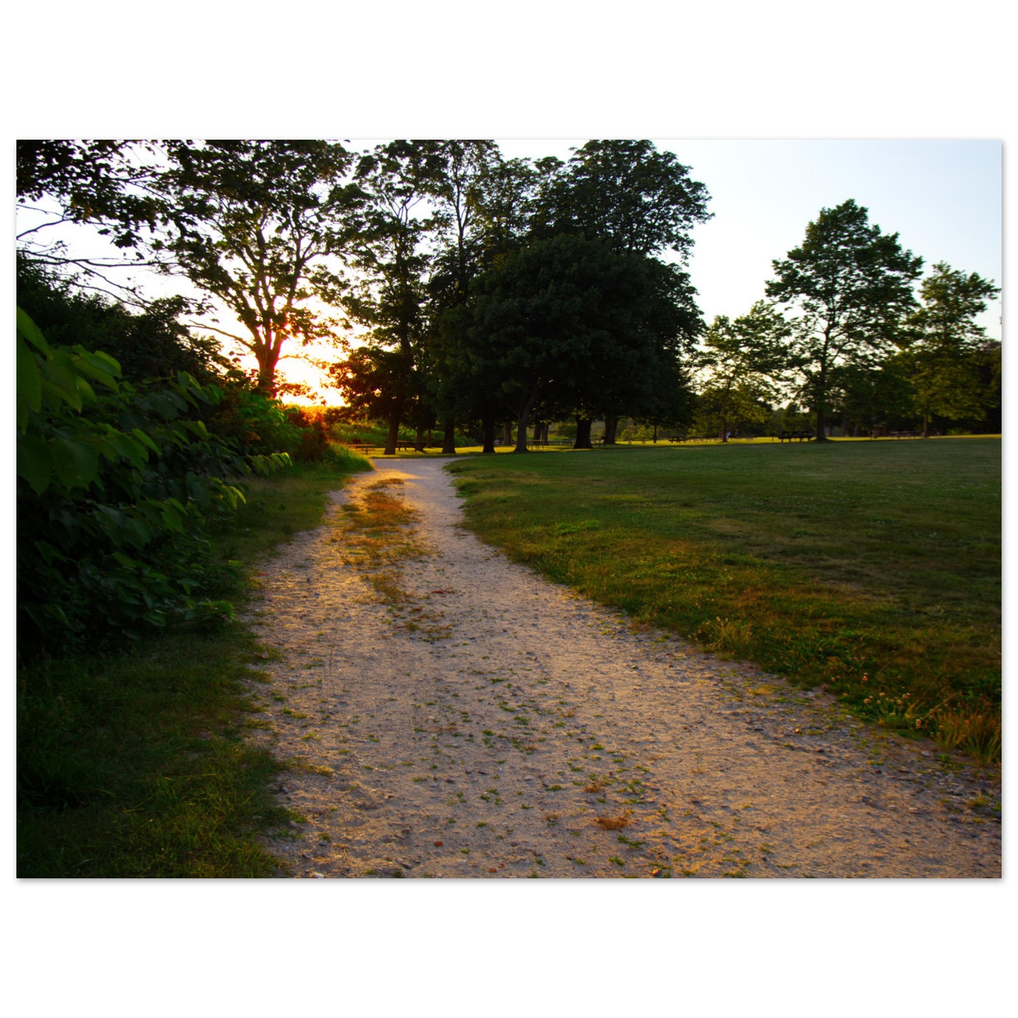 A late day sunlit dirt path winds through a lush, green park at sunset. Trees line the trail, casting long shadows, creating a serene and peaceful ambiance.