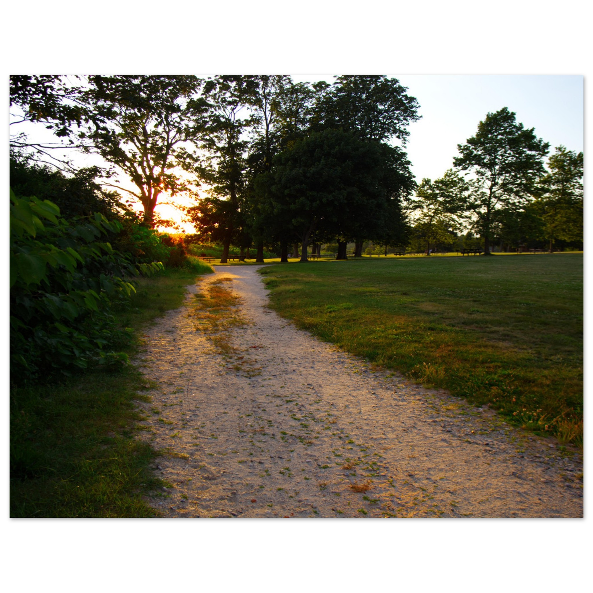 471704a2-2d86-4865-8f80-e1019b574b4f