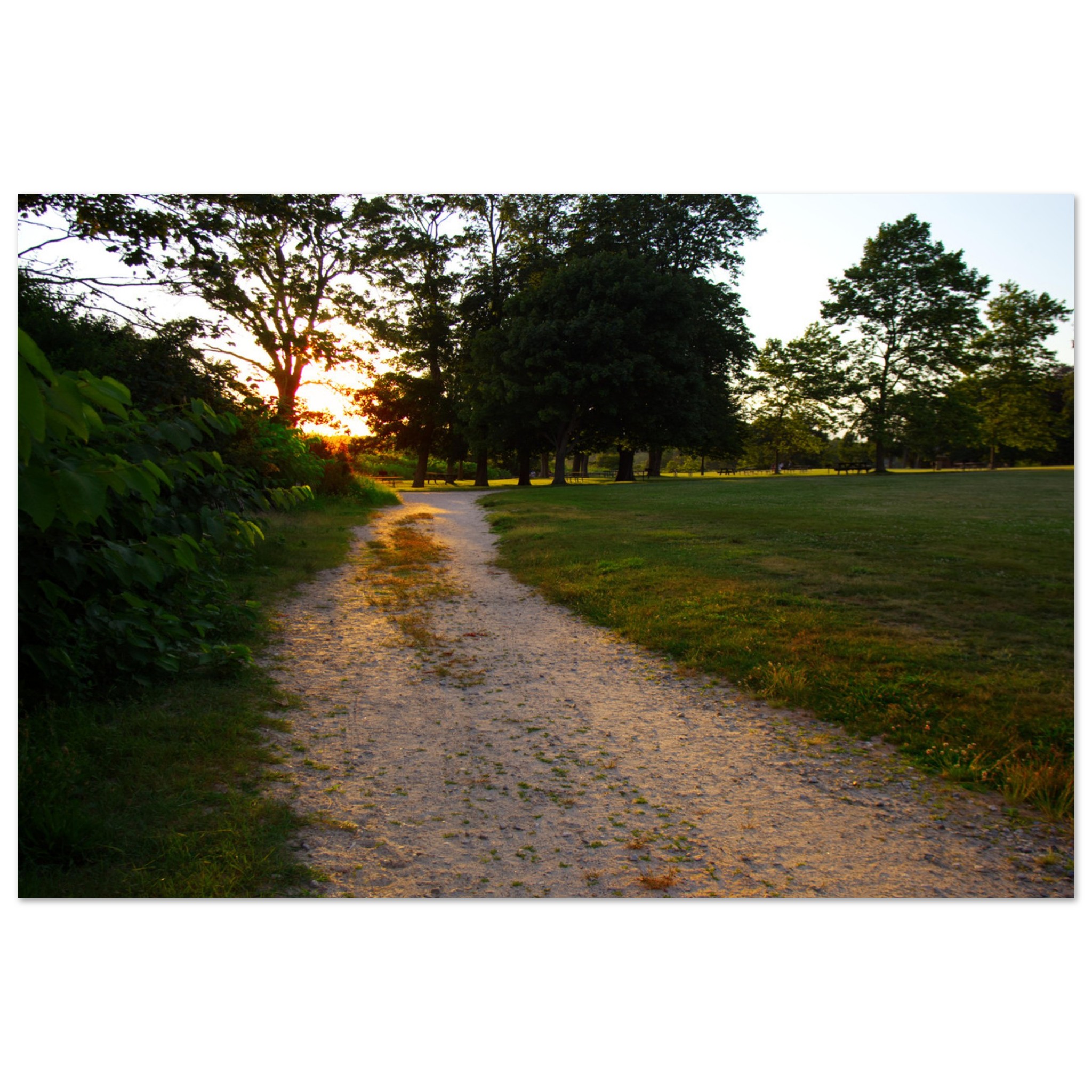 39f35b95-f78f-4ef9-a382-ad5b640e3dff