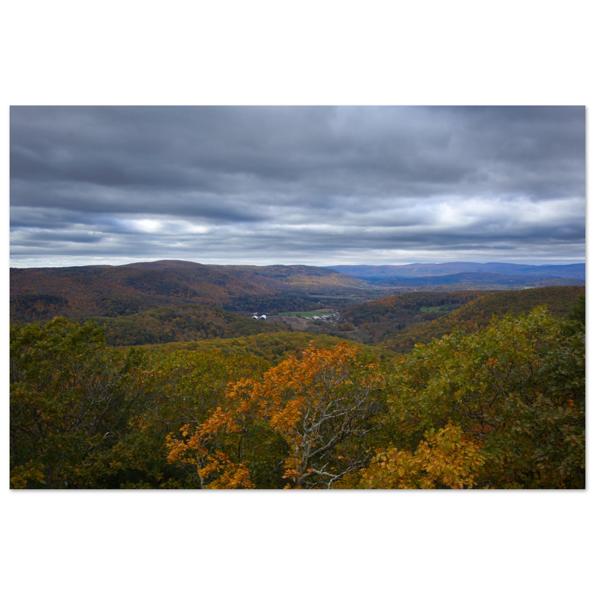 a782881a-b78c-4f6d-a4fa-39cbbf4ee0b1