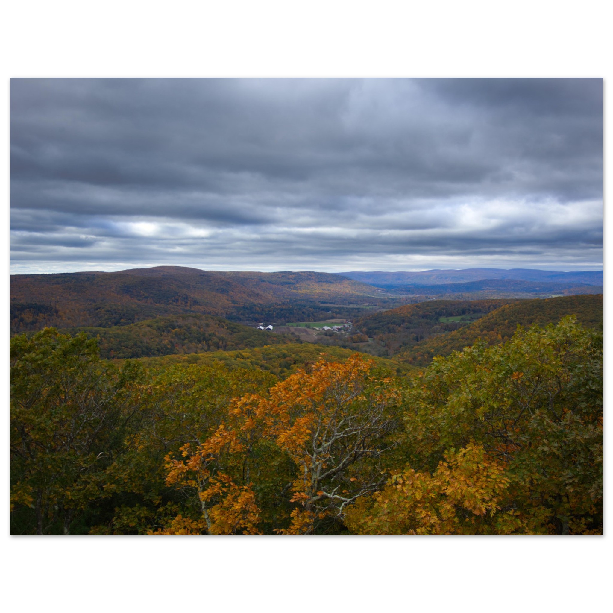 0c75e901-1aa8-4b4a-af72-6581379c9073