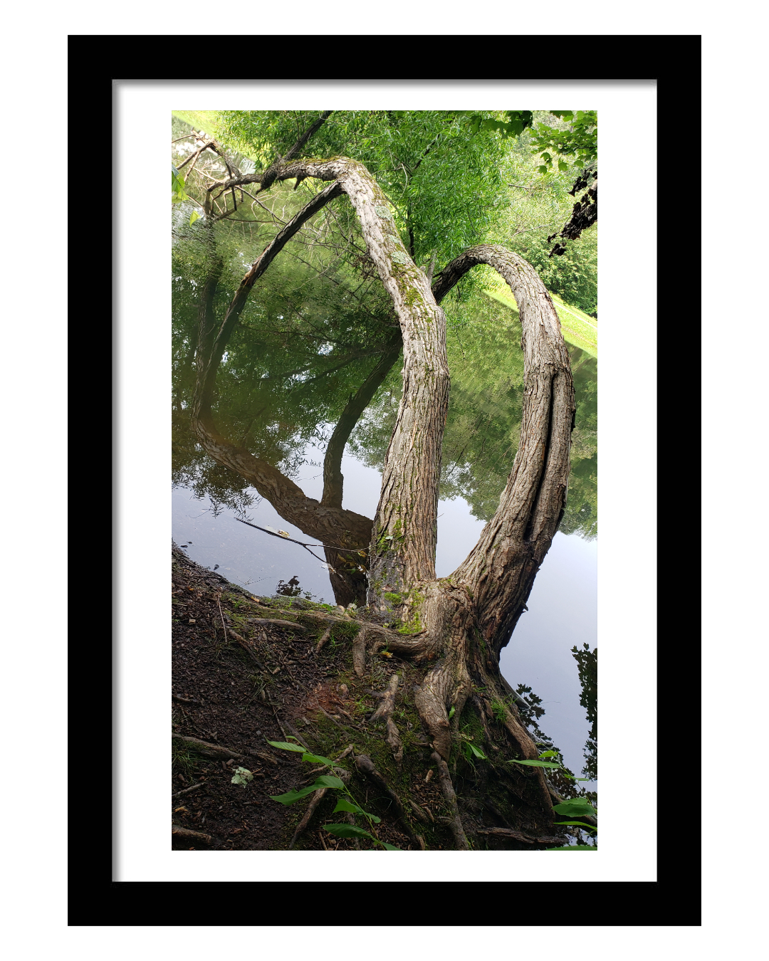 a00efb37-b8c7-452e-b8e8-b9c944d27e04