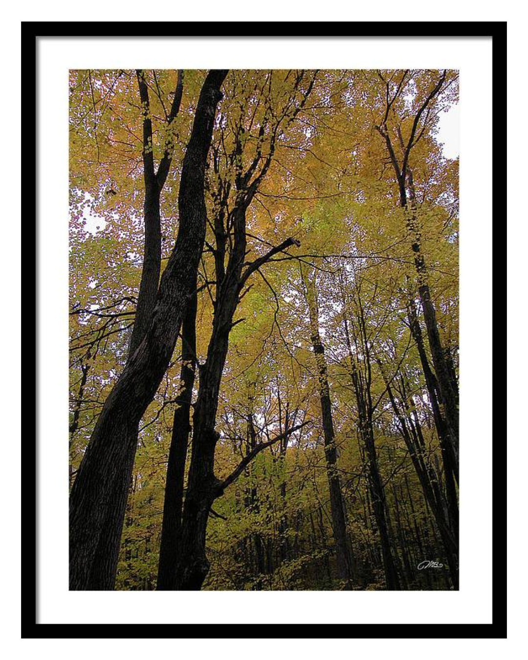 5ca7b78e-2993-4f12-ae78-f898708acac7