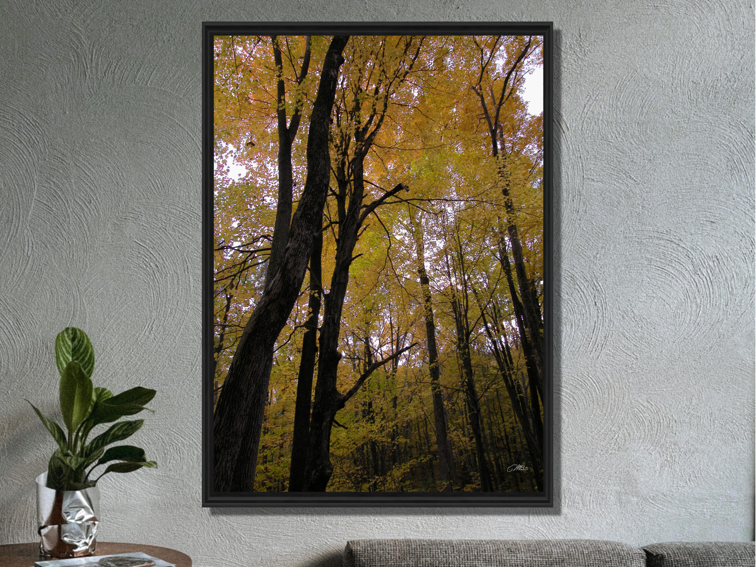 31108eb5-1de0-4888-8e36-d19de68a4b41