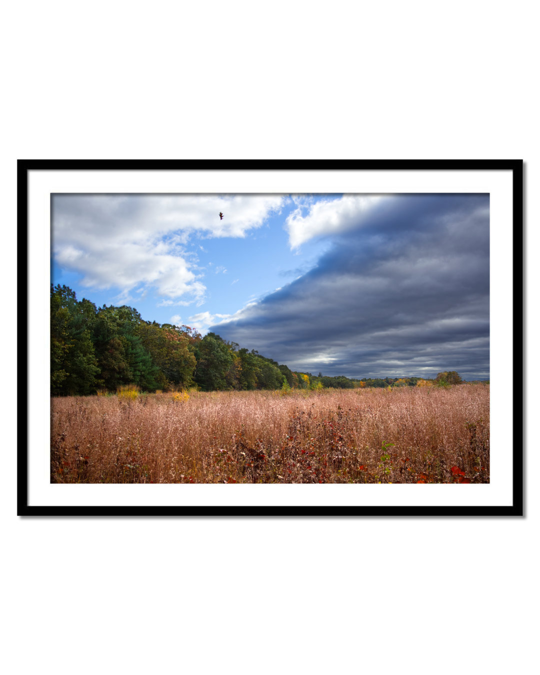 755122f5-b7ae-49de-86e6-14c6cb9c7687