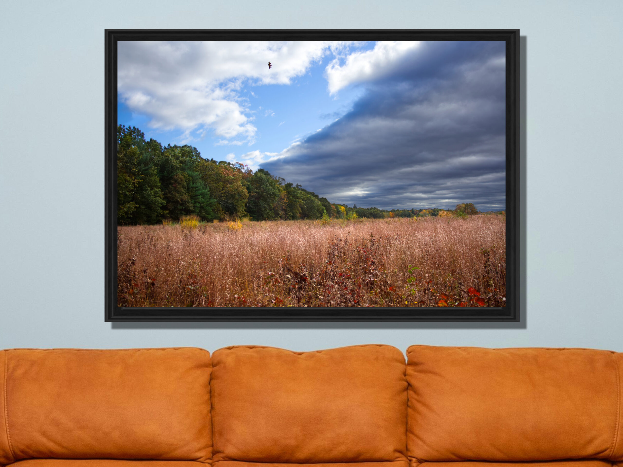 f27cf886-fdea-480a-b52f-68881ef78fdd