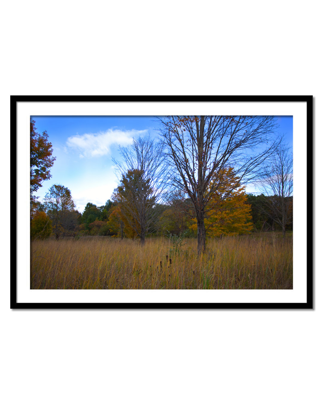 ae8d72e3-e2eb-44ba-bd6b-ecbd6004e028