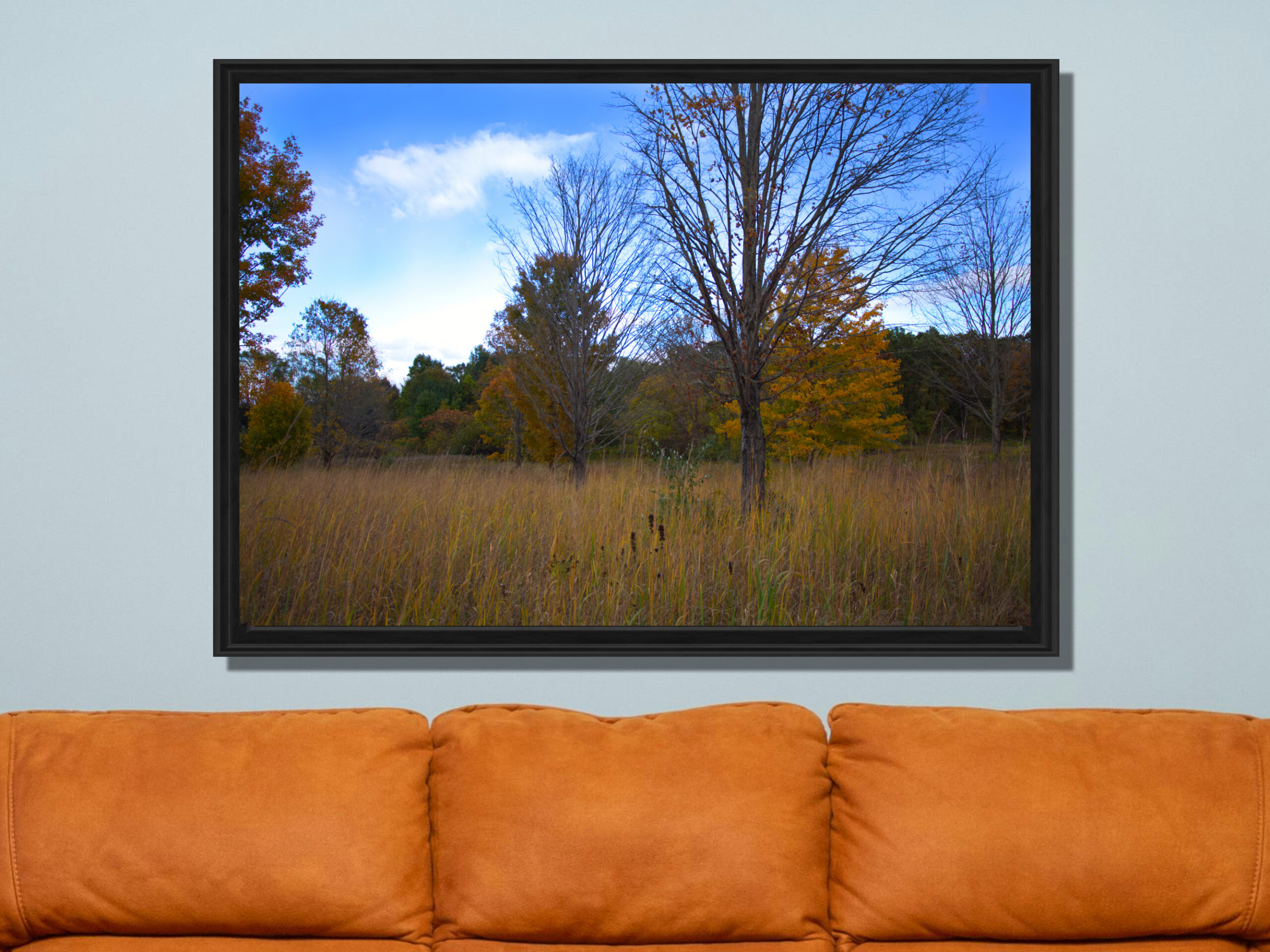 9208ce02-2055-4728-9c17-a58e4fc0e8db