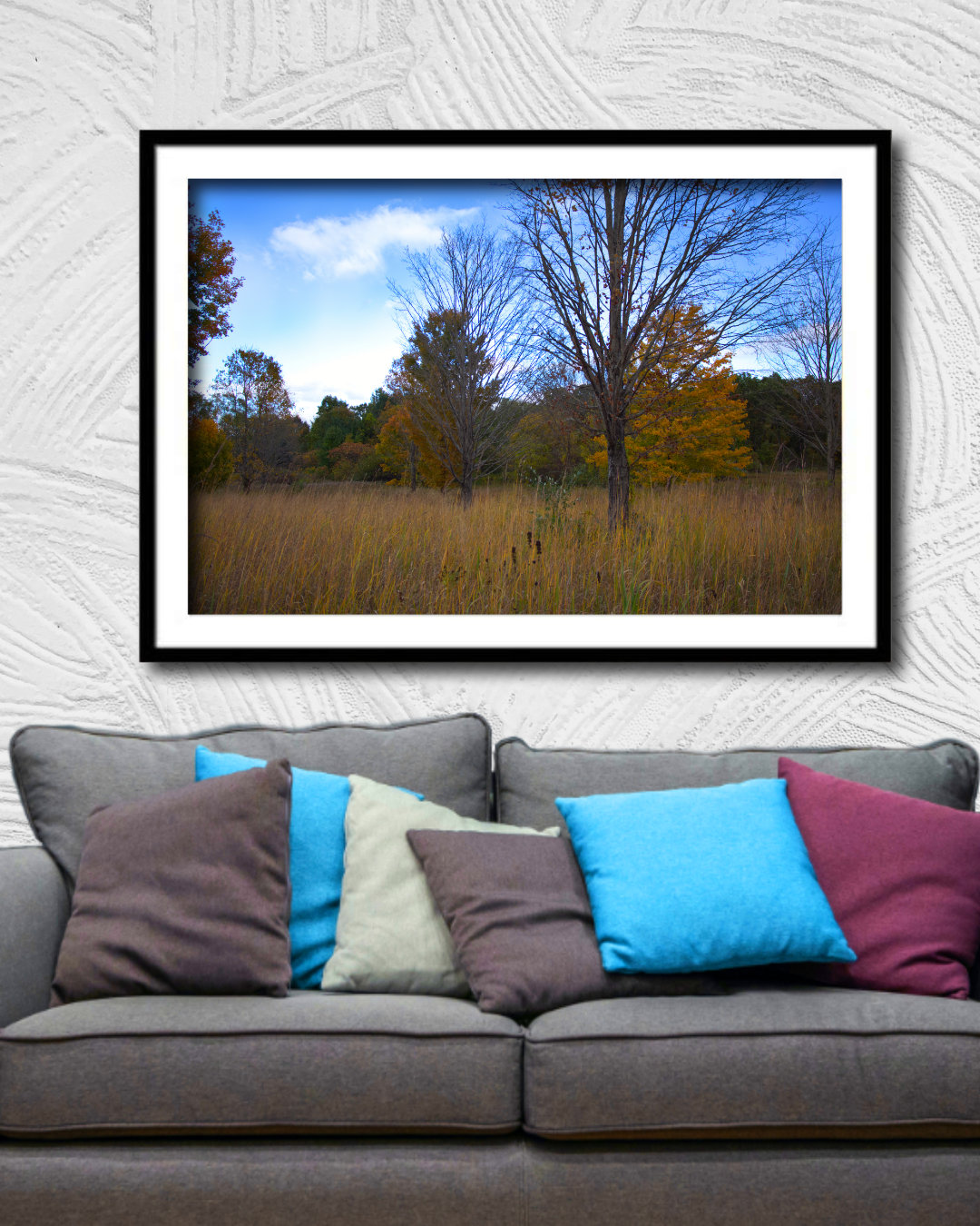 c19b7798-b914-49ca-9f43-ed8b37959716