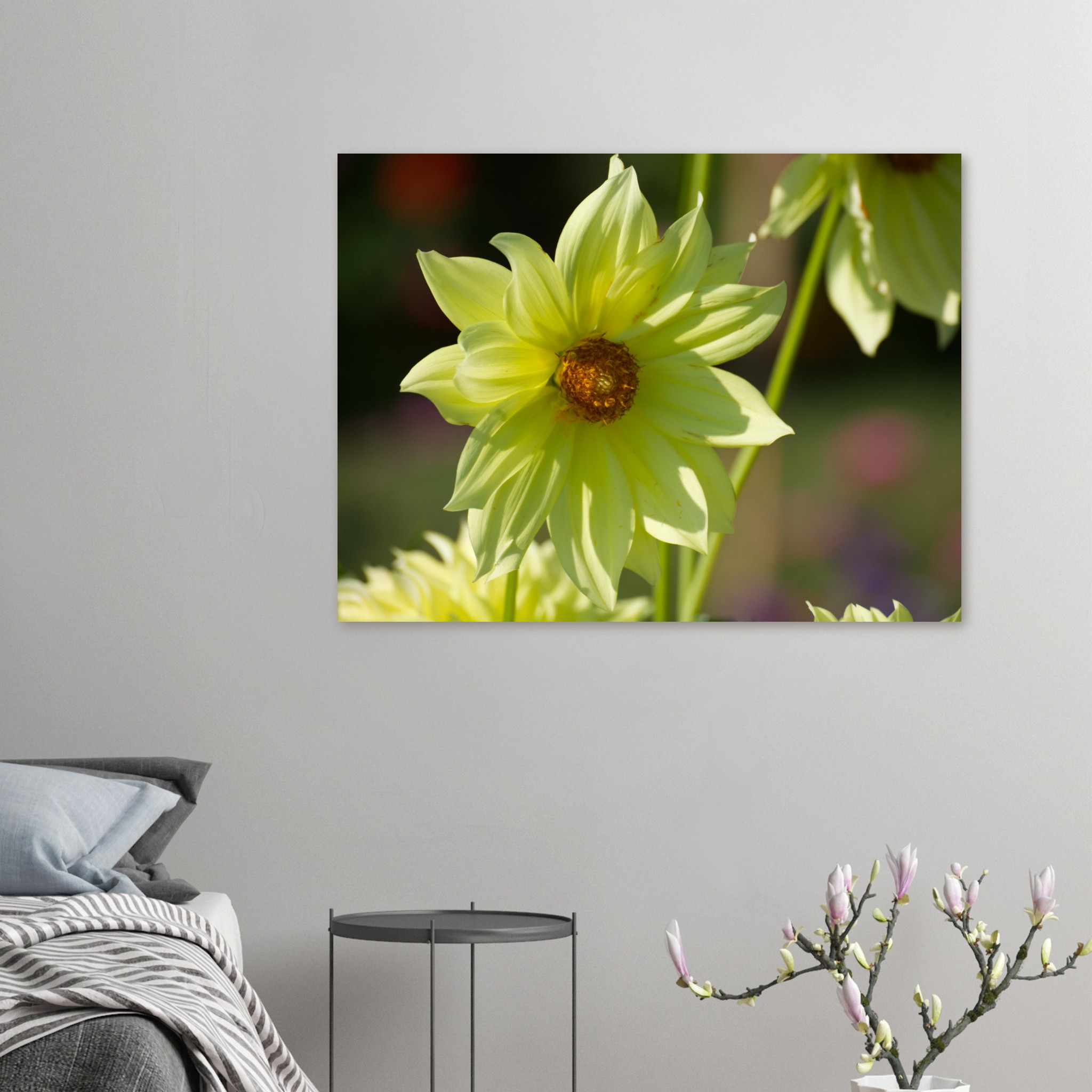 c34c3517-c94a-45ec-bc0a-08c81ee462ab