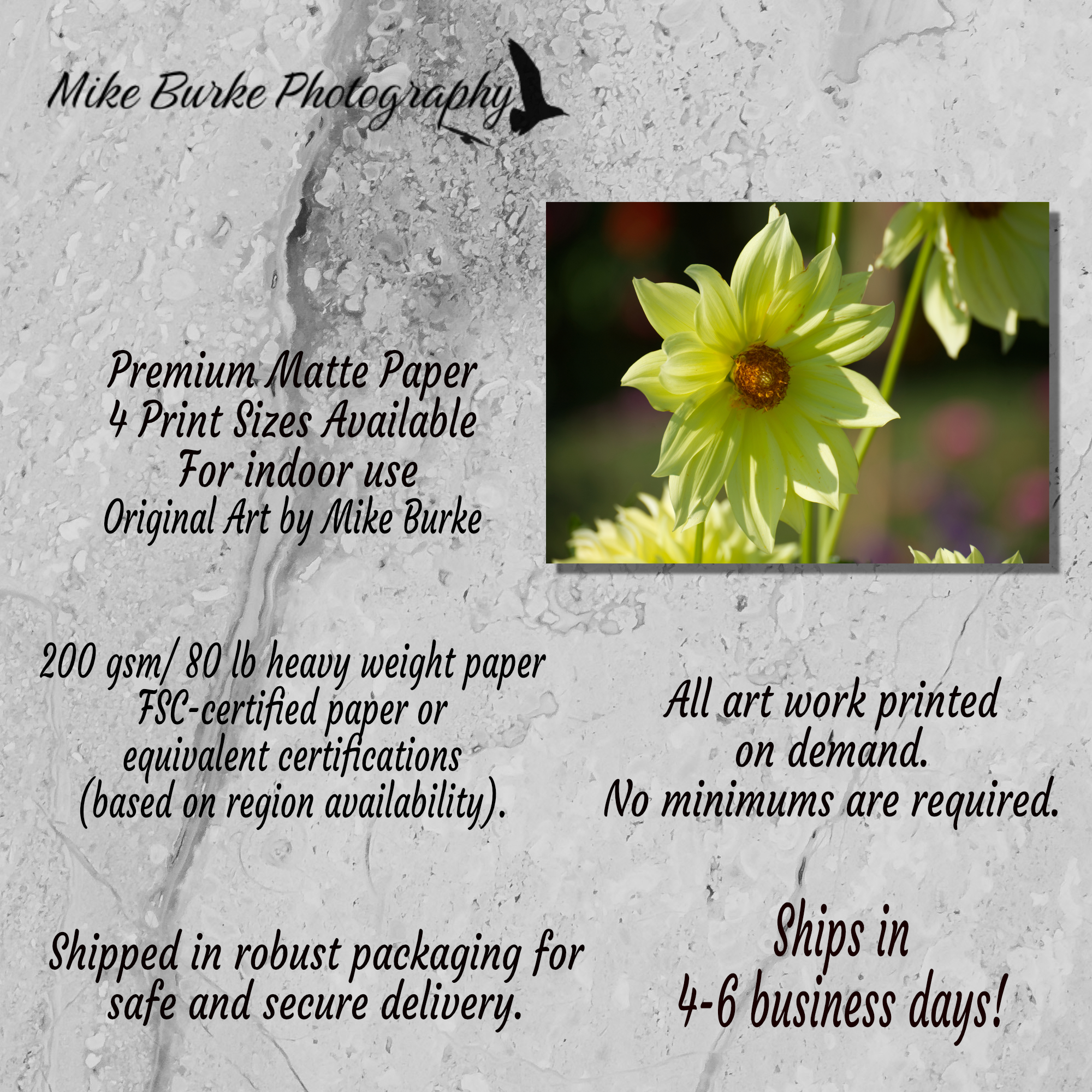 923e1002-9b5b-4789-8b4f-f93f306a6012