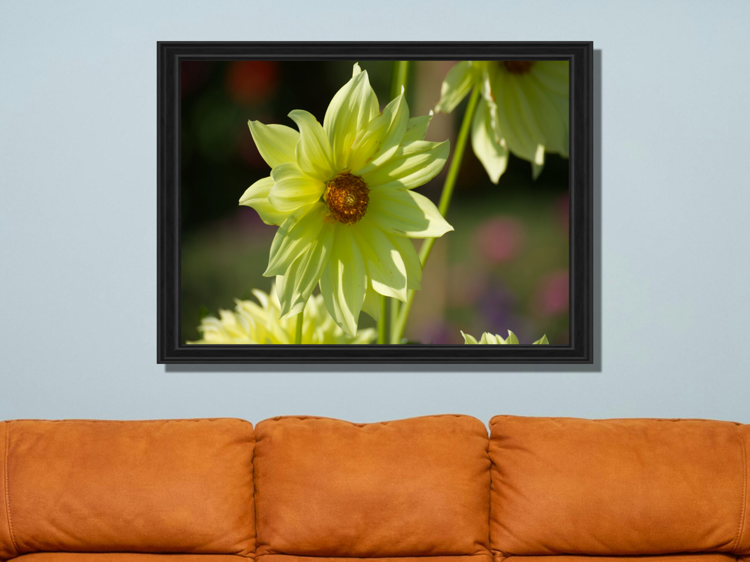 22b81b8d-642b-401f-9dbb-bb445a25fdad