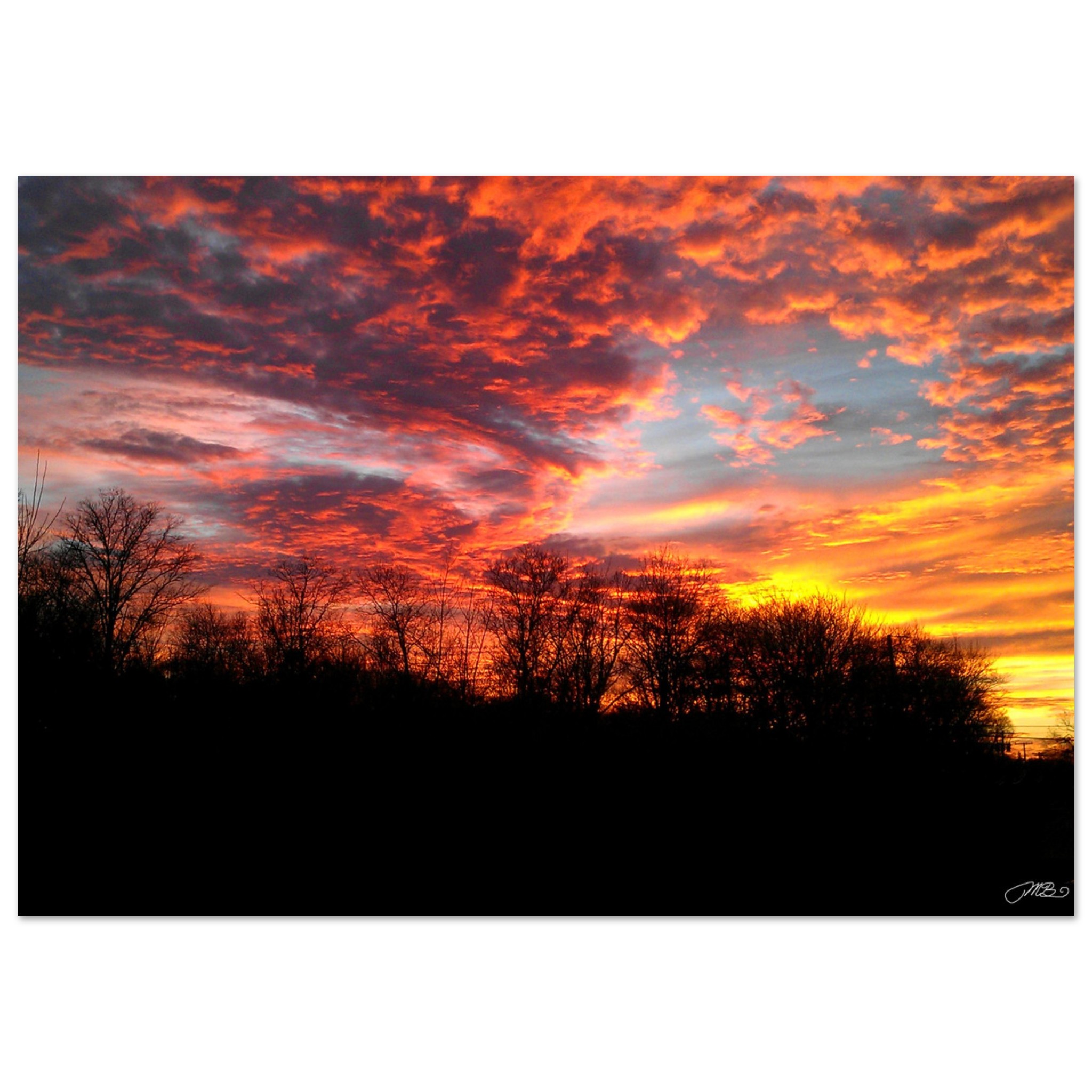 Fiery red and orange sunset sky wall art with silhouetted trees landscape home decor gift