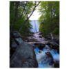 Forest waterfall stream wall art print with cascading water and lush green trees home decor gift
