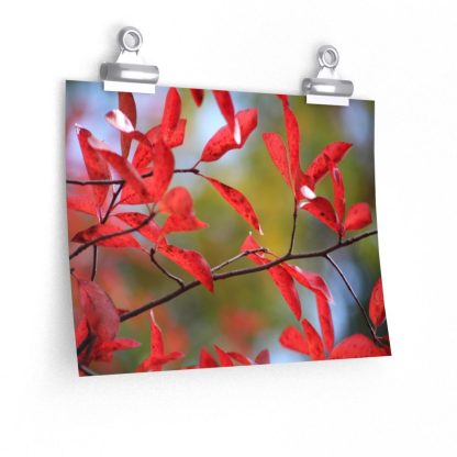 A framed poster print of vibrant red leaves on branches against a soft-focus green background, hanging above an orange sofa, creating an autumnal feel.