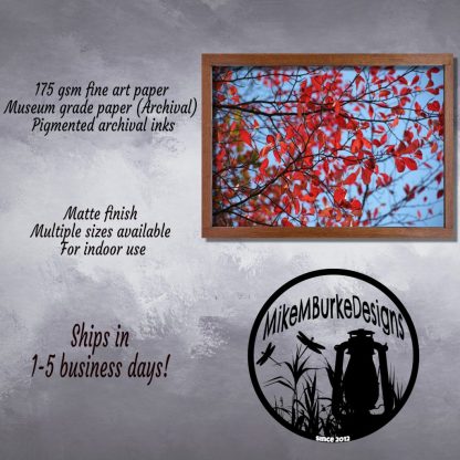 Fall Wall Art Poster, Autumn Leaves Print, Nature Wall Art, Country Farmhouse Decor, New England Fall Landscape - Image 5