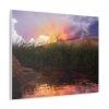 A vibrant sunset with rays of light illuminating the sky in pink, purple, and orange hues. Tall grass and a calm water reflection evoke tranquility. Canvas wall art.