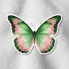 A vibrant butterfly with green and pink wings rests on a soft, textured gray surface. The butterfly's symmetrical design adds a sense of calm and beauty.