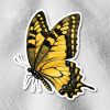 A vibrant yellow and black butterfly, resembling a swallowtail, is seen resting on a light, textured background. The image conveys a sense of elegance.