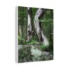 Beautiful tree art canvas wall print with forest landscape. Perfect home gift idea and rustic cabin decor for adding nature’s serenity to any space.