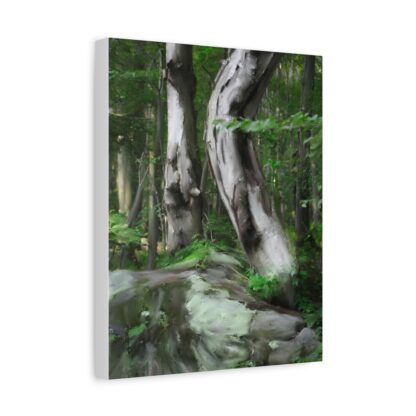Beautiful tree art canvas wall print with forest landscape. Perfect home gift idea and rustic cabin decor for adding nature’s serenity to any space.