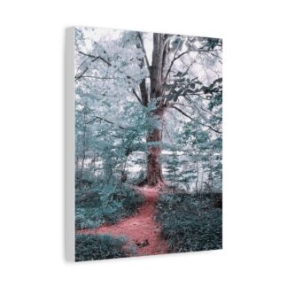 Forest tree path canvas wall art featuring woodland trail and serene lakeside nature scene