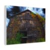 A dramatic canvas art print of an old wooden barn overgrown with colorful vines against a stormy sky.