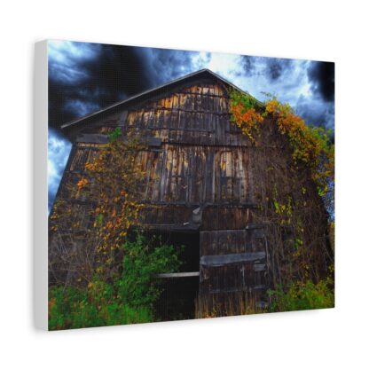 A dramatic canvas art print of an old wooden barn overgrown with colorful vines against a stormy sky.