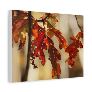 Autumn Oak Leaves Canvas Wall Art Print | Warm Red and Orange Foliage in Soft Natural Light, Cozy Background | Fall Nature Décor