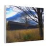 A canvas on a wall depicts a dark barn behind tall grass and bare trees under a moody sky. A plant and couch frame the serene setting.