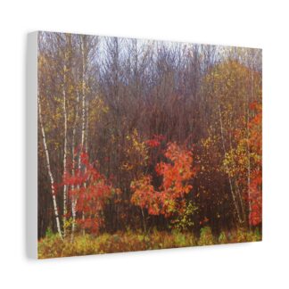 Canvas wall art depicting a vibrant autumn forest with red, orange, and yellow foliage and bare trees. The scene exudes a sense of tranquility and natural beauty.