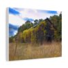 A rustic, vine-covered barn stands amidst tall, dry grass under a partly cloudy sky. The setting conveys a serene, abandoned yet tranquil mood on canvas wall art.