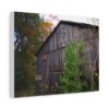 A rustic, weathered barn with creeping plants and autumn trees in the background. The scene evokes a tranquil and nostalgic rural atmosphere. Canvas wall art.