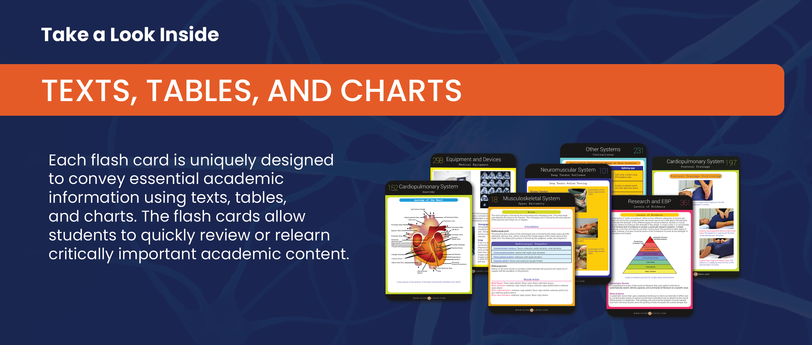 PT Content Master Flash Cards