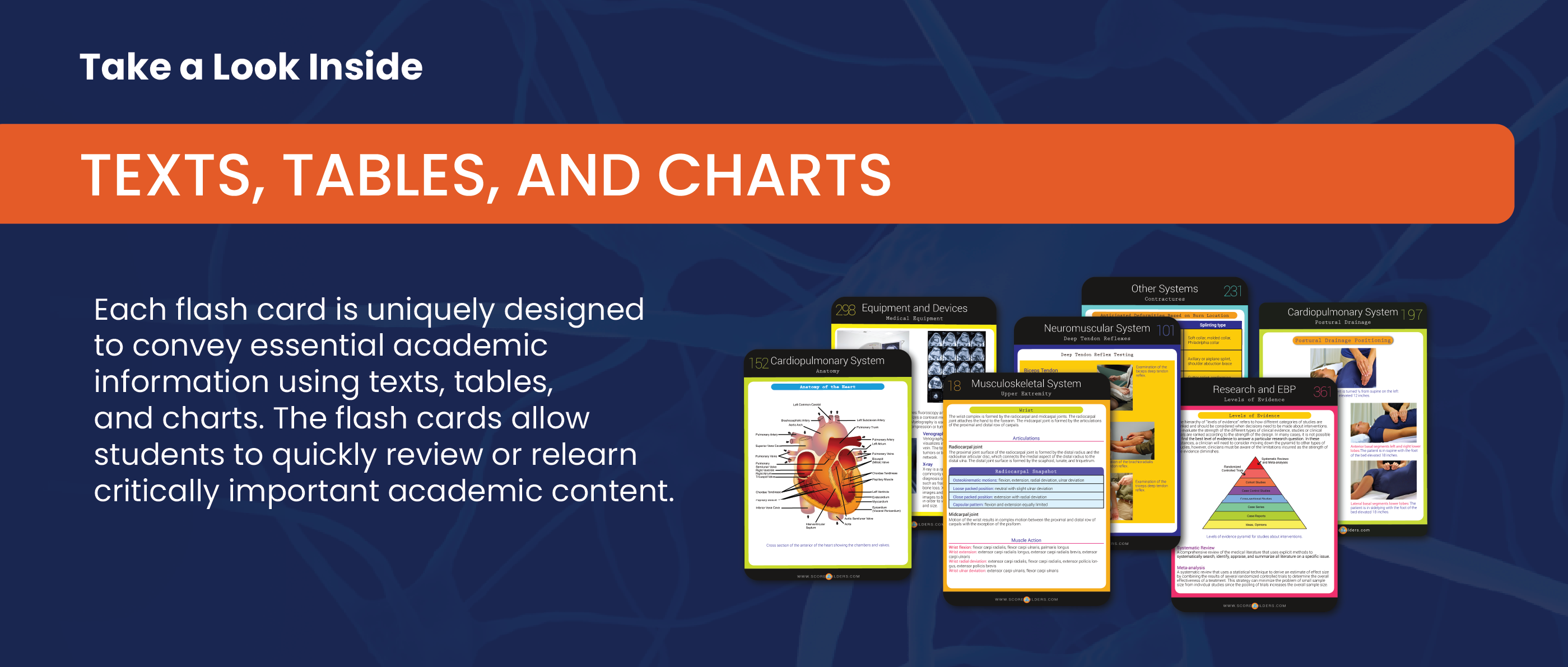 imagery for PT - Content Master Flash Cards