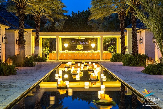 Palms Wedding Photo Gallery - Paradise Photography