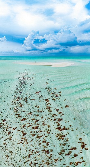 Times of the Island Cover 8-29-24