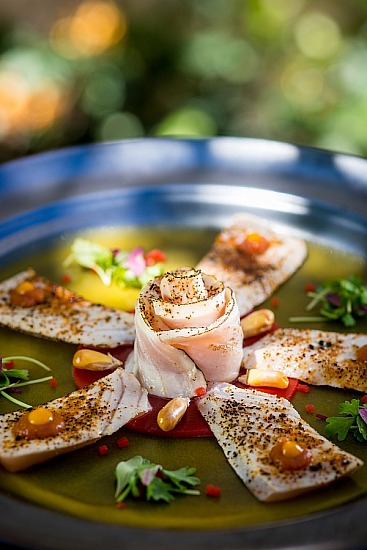 Paradise Photography F&B Portfolio 2025