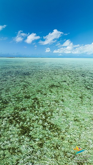 South Caicos, Verticals