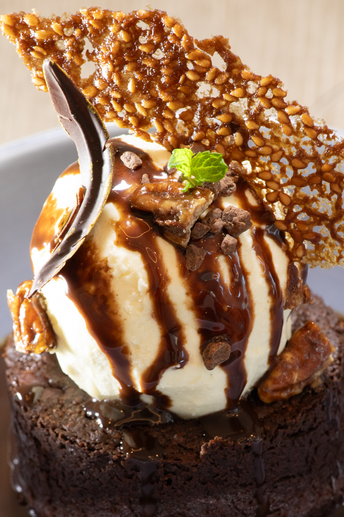 Ellipse food 2-18-26