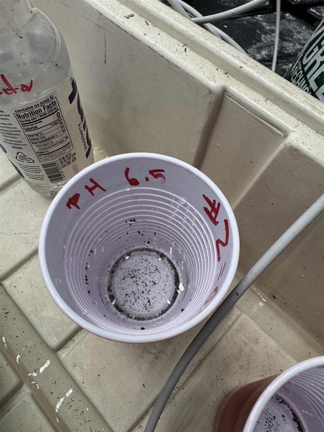 Featured Plant Image