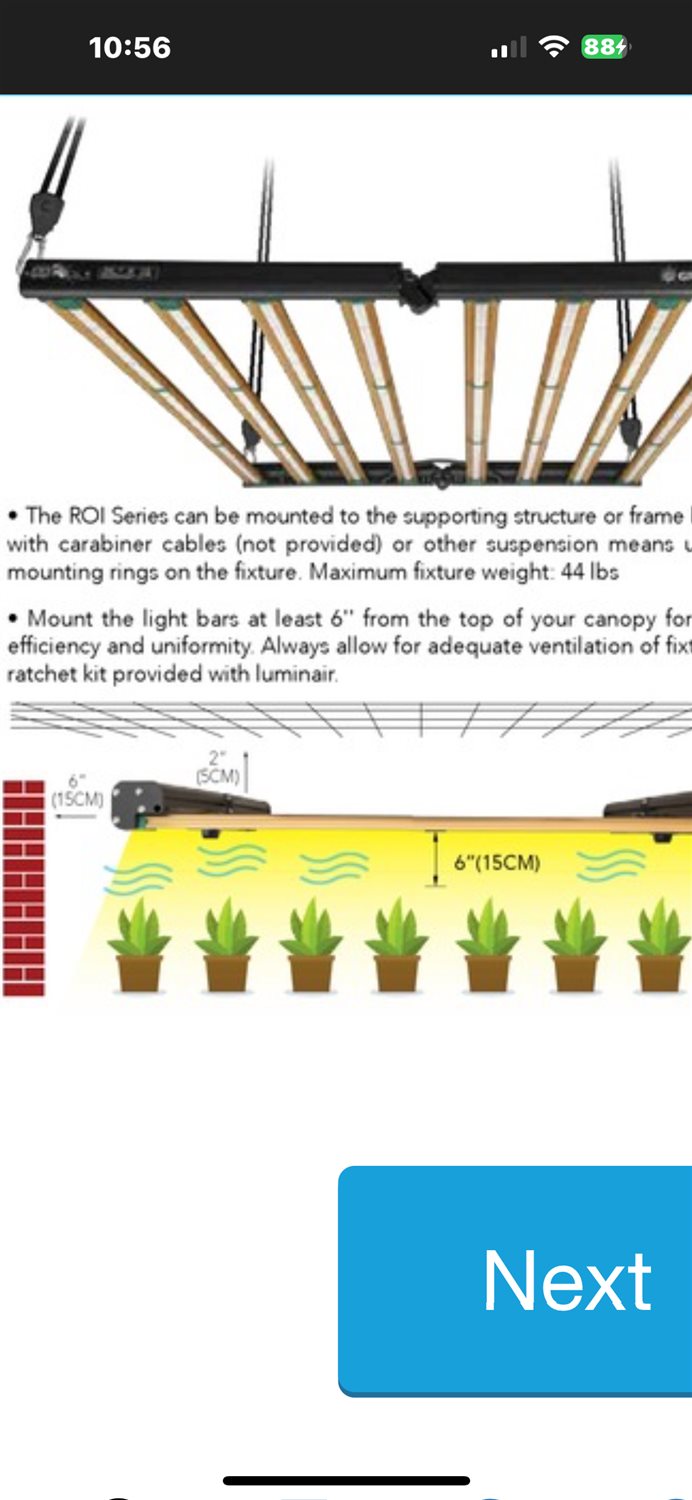 Featured Plant Image